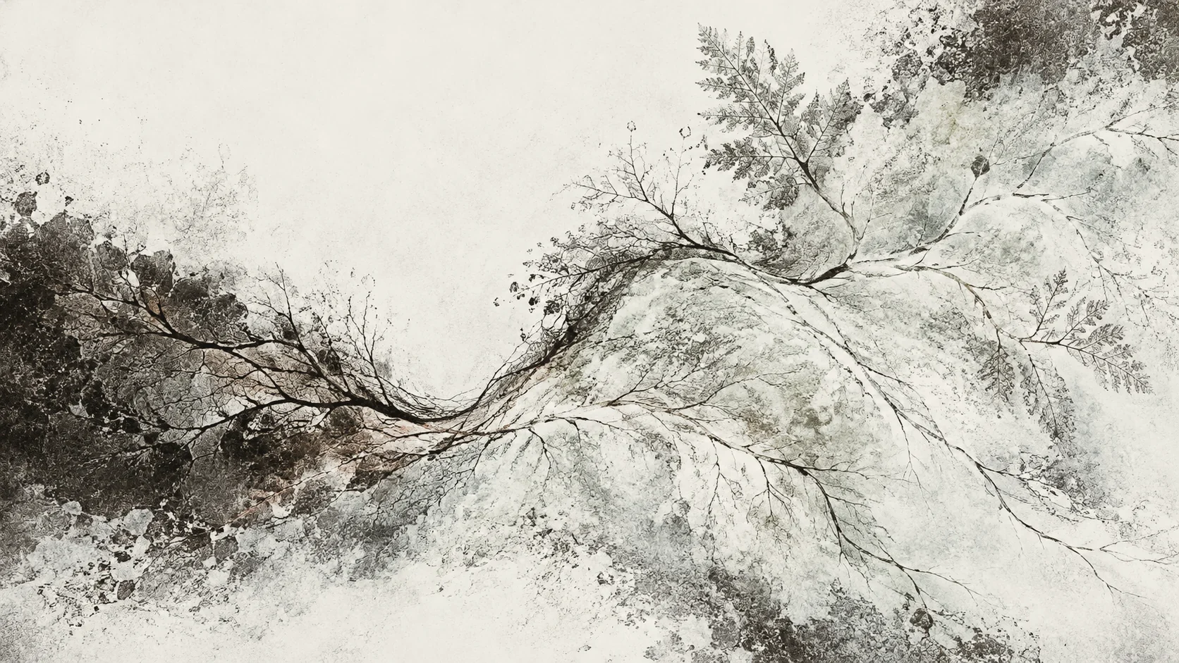 A branching, dendritic form suggesting immune cell networks.